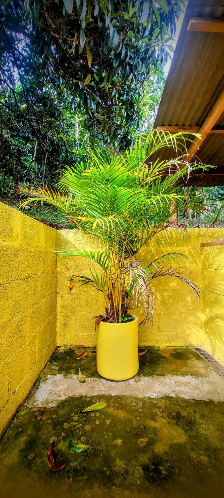 Rancho Acacia Sao Roque Hotel Luaran gambar